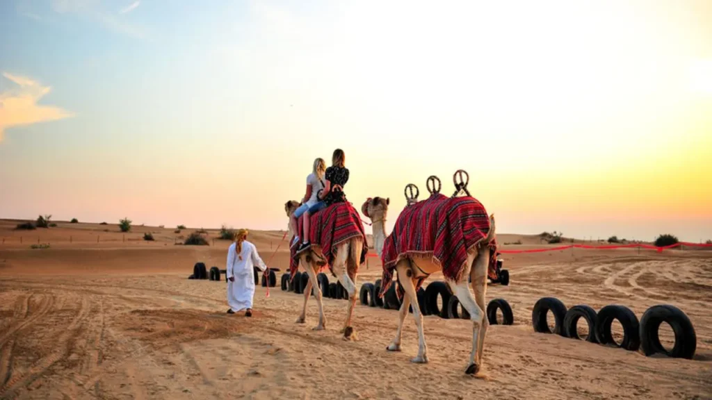 شترسواری در سافاری دبی