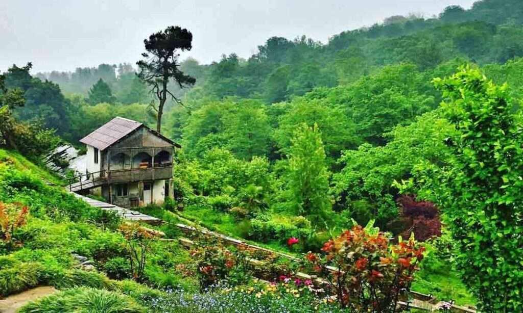 نمایی از باغ گیاه شناسی باتومی