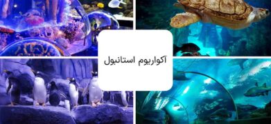 آکواریوم استانبول