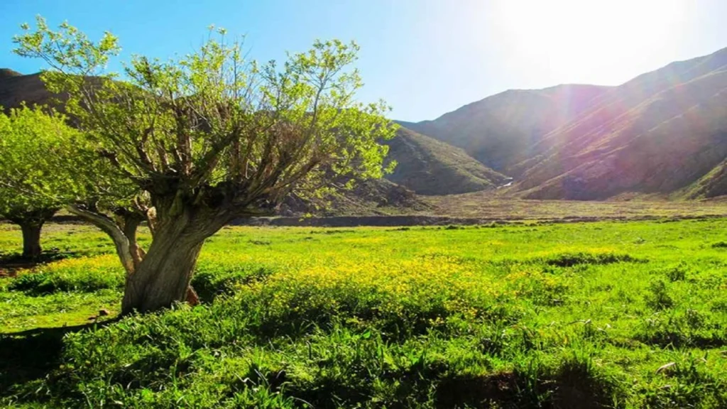 تصویری از طبیعت روستای افجه از بهترین جاهای دیدنی اطراف تهران