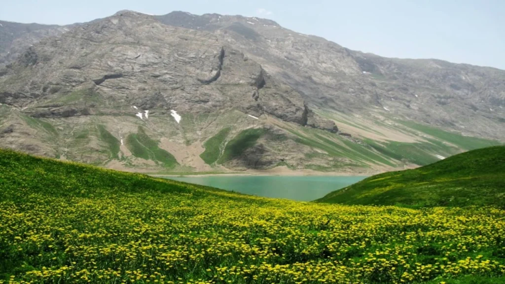 تصویر دشت لار از بهترین دیدنی های اطراف تهران