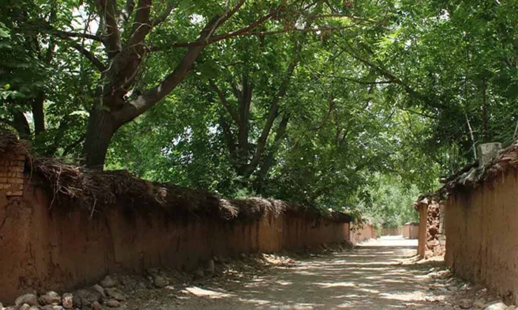 روستای مهارلو در نزدیکی دریاچه مهارلو شیراز