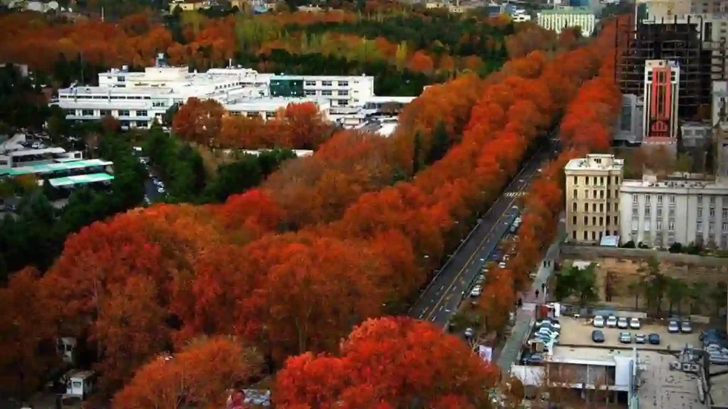 خیابان ولیعصر تهران