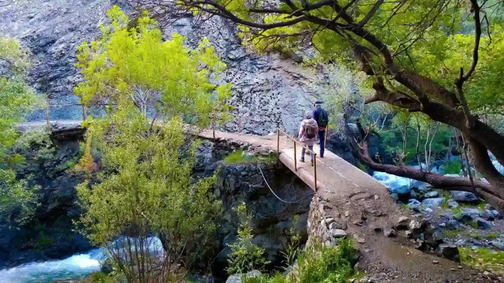 تصویر دو فرد در حال پیاده روی در درکه تهران