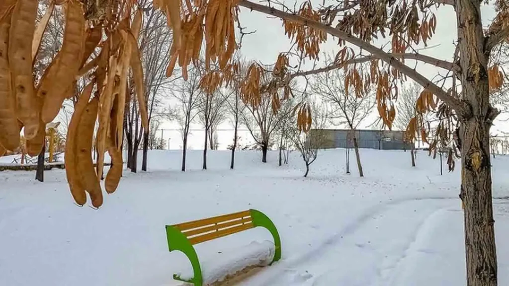 پارک جنگلی لویزان از بهترین جاهای دیدنی تهران در زمستان