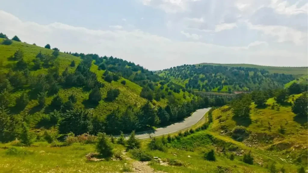 پارک جنگلی تلو از فضای های سبز در اطراف لواسان